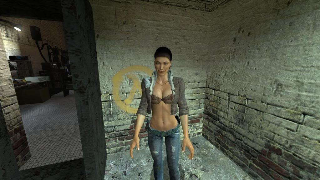    Half Life 2 img-1