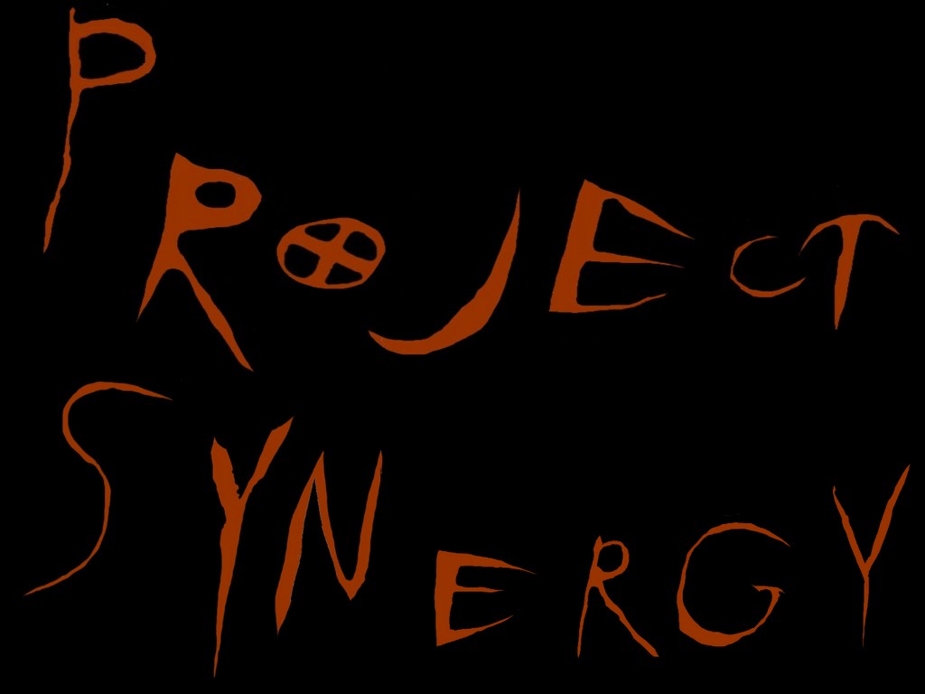 Synergy project