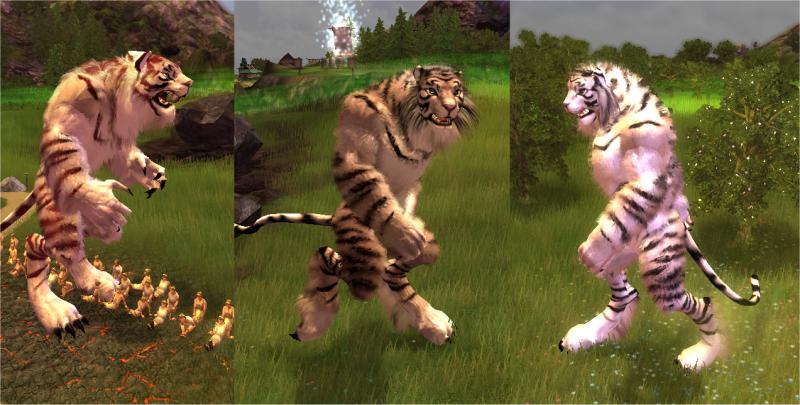 This Is A Powerful Creature. Preview Image. White Tiger