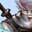 Ninja Academy Online