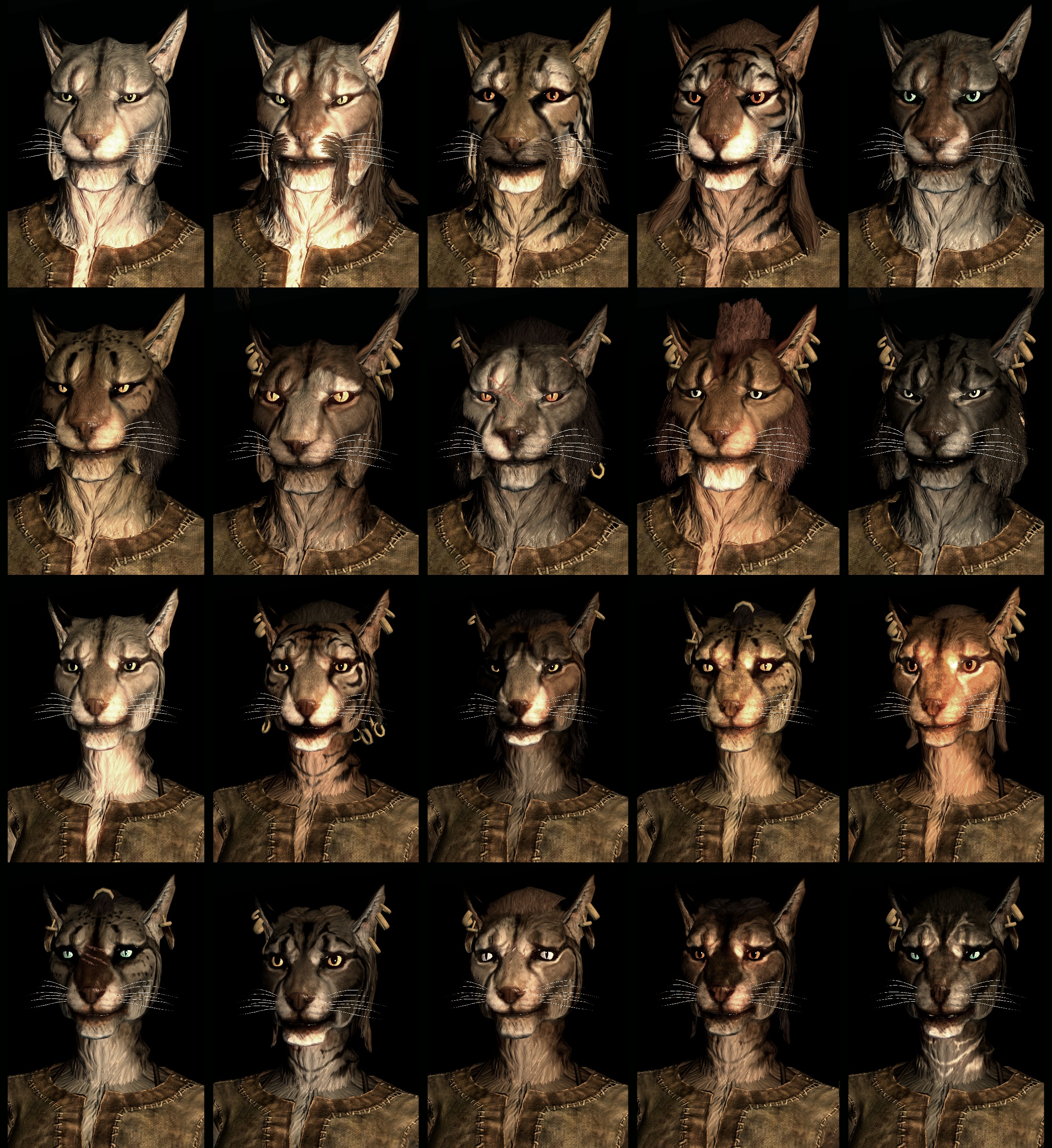 Skyrim Character Creation Image Mod DB