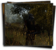 screens