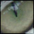 DarkScale