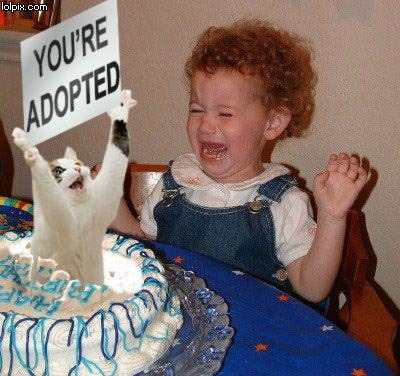 Funny Birthday Images on Media Rss Feed Report Media Happy Birthday       View Original