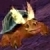Symetreus