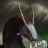 crisosphinx