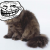 Trollpusen