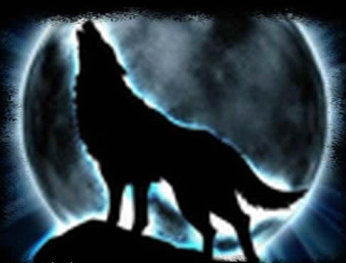 ao_Wolf-Avatar_2.jpg