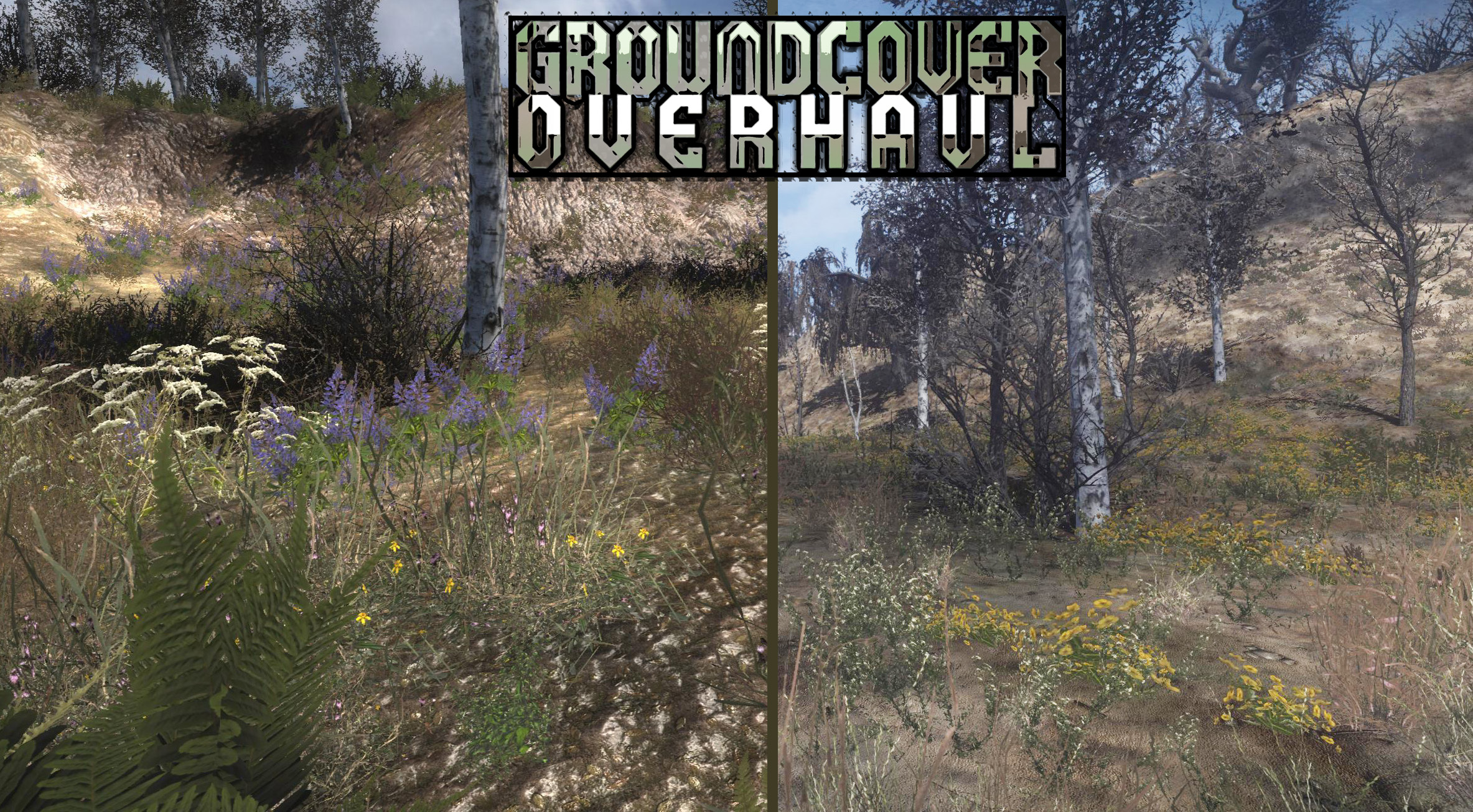 Groundcover Overhaul Mod For S T A L K E R Shadow Of Chernobyl ModDB