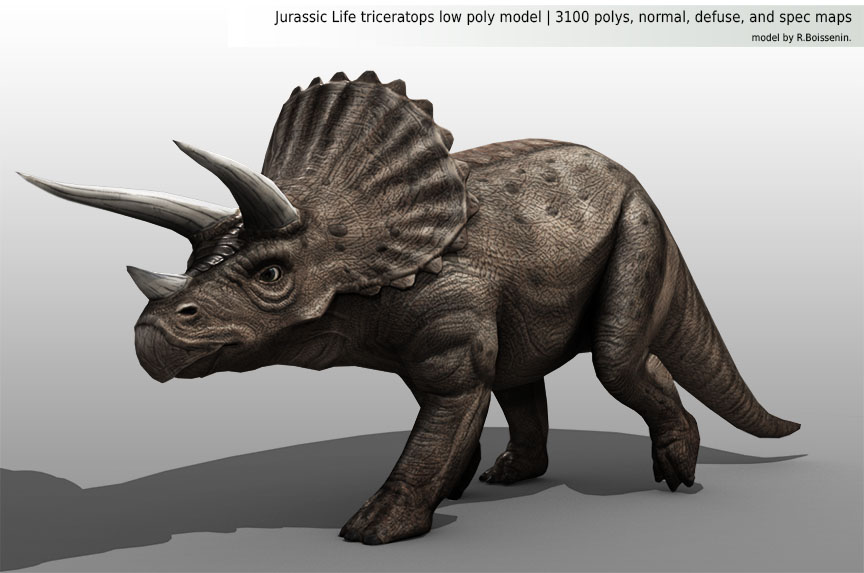 Résultat d’images pour triceratops images