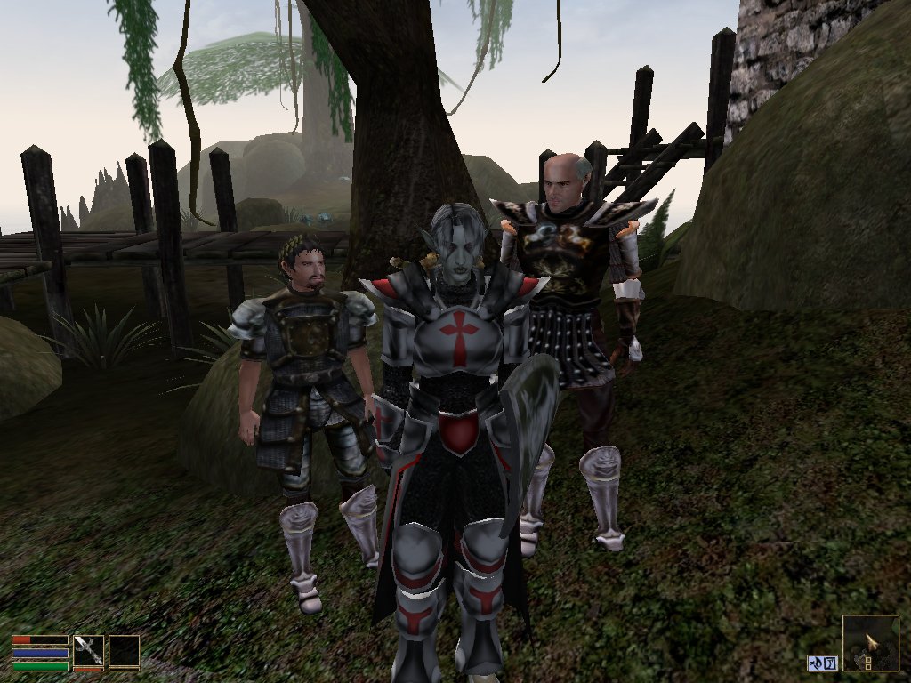 Morrowind   -  8