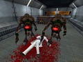 Half-Life Overhaul Pack - to be updated!