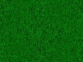 How to make a simple, generic grass texture in GIMP