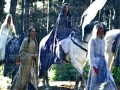 lord of the rings -  some writing about the elves