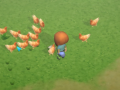River Town Update #2 - Feeding Chickens [VIDEO]