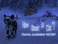How Smart is Cat? Demo available!