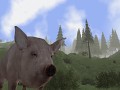Announcement: Animals, Namechange, Steam