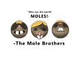 They are here! "The mole brothers"