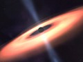 New black holes