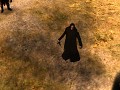 Return of Shadow Beta 0.3 - Round 2 Update