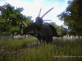 Dinosaur Update: Styracosaurus
