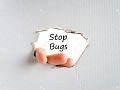 AOW Bug report thread