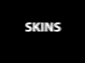  About skins