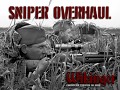 Wikinger: Sniper Overhaul - 3.1.5 patch onwards