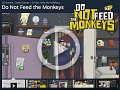 Watch the monkeys alive!