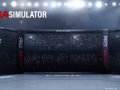 MMA Simulator Update 5: Steam!