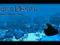 Final Dreams - Rise Of A Pengu (First Minutes)