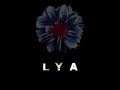 LYA - Development - Origins I