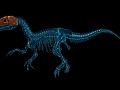 The assembly of dinosaur skeleton in Dinosaur Fossil Hunter