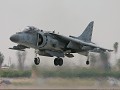 Allied Harrier
