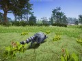 Wanted Raccoon - making trees in the game and some more news