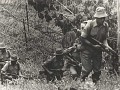 Operation Trikora 1961