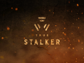 True Stalker — May status report