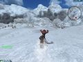 Snowreal Patch 1.1.5