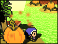 Pumpkin Harvest Event