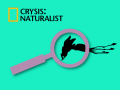 NATURALIST is available to download
