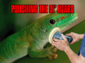 Polishing the ol' Lizard