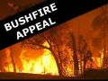 50% of proceeds to help Aussie bushfire victims