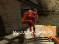 Modular Combat: One Year Ago #1
