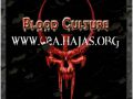 Full Download of Q2E Blood Culture