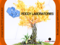 Roccy Labs first release!