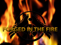 Forged in the Fire