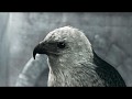 Birds of prey fan group - introduction