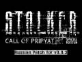 Russian Patch (CoP: Special Edition v0.9.3)