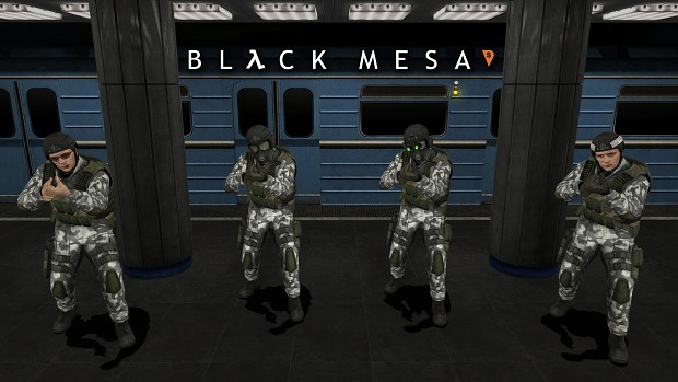 Black Mesa HECU