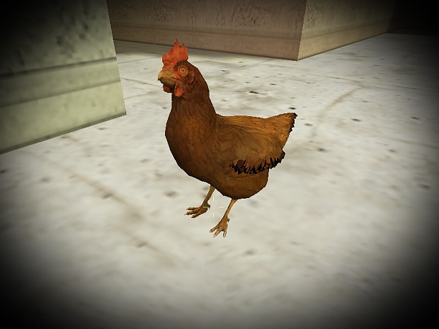 CS:GO  Chicken